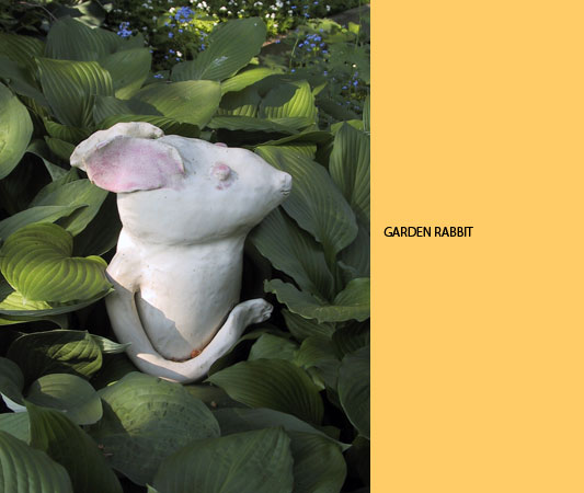 garden rabbit
