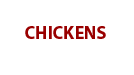 chickens