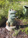 garden big frog