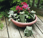 garden frogs