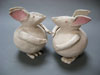 smallrabbits